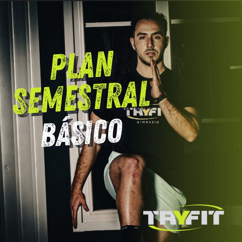 Semestral Básico